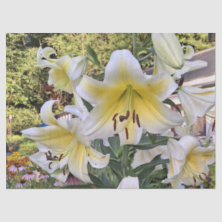 Beautiful Summer Lily Tissue Paper