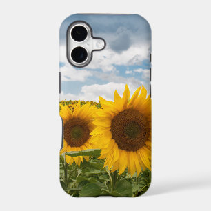 beautiful summer sunflowers iPhone 17 case