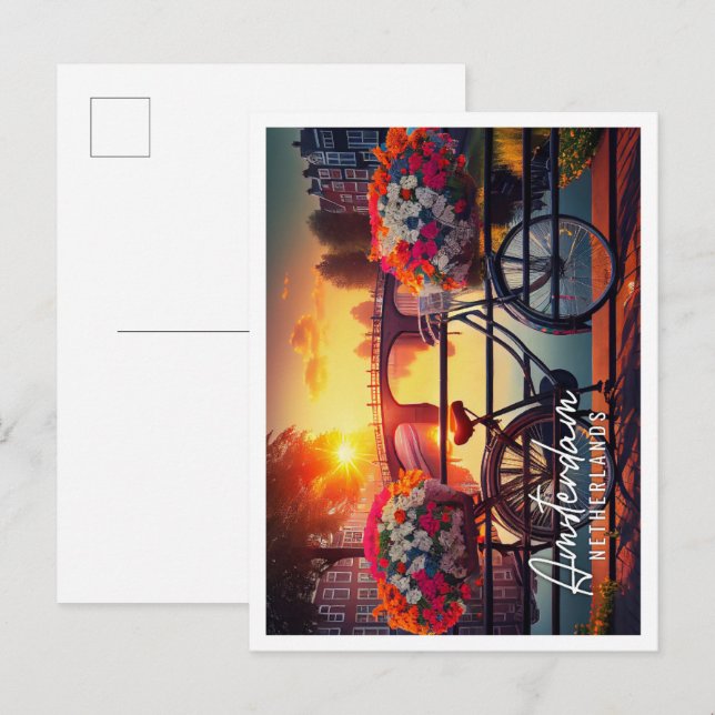 Beautiful summer sunrise Amsterdam Netherlands Postcard (Front/Back)