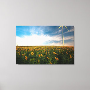 beautiful sun flowers field with cloudy blue sky a canvas print