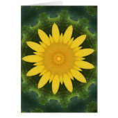 Beautiful sunflower (Front)