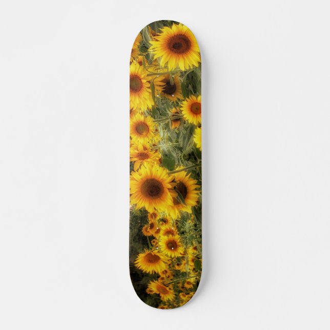 Beautiful Sunflower Field Photo Skateboard (Front)