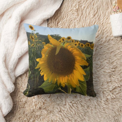 Beautiful Sunflower in the Summer Sun  Throw Pillow