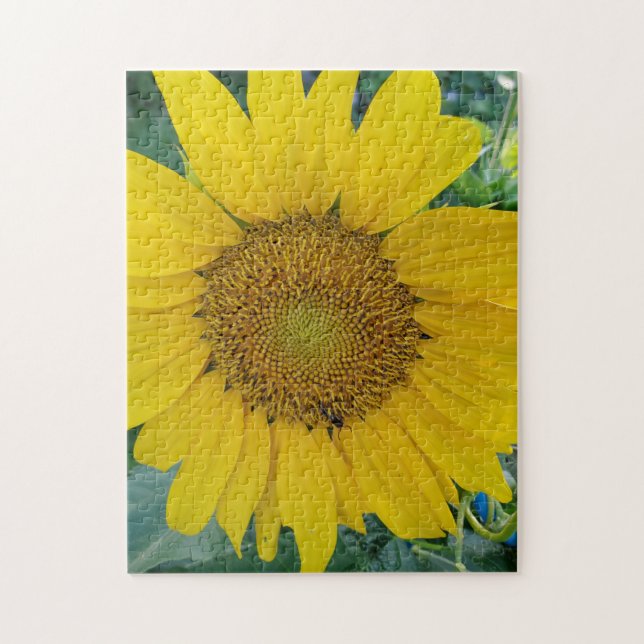 Beautiful Sunflower Photo  Jigsaw Puzzle (Vertical)