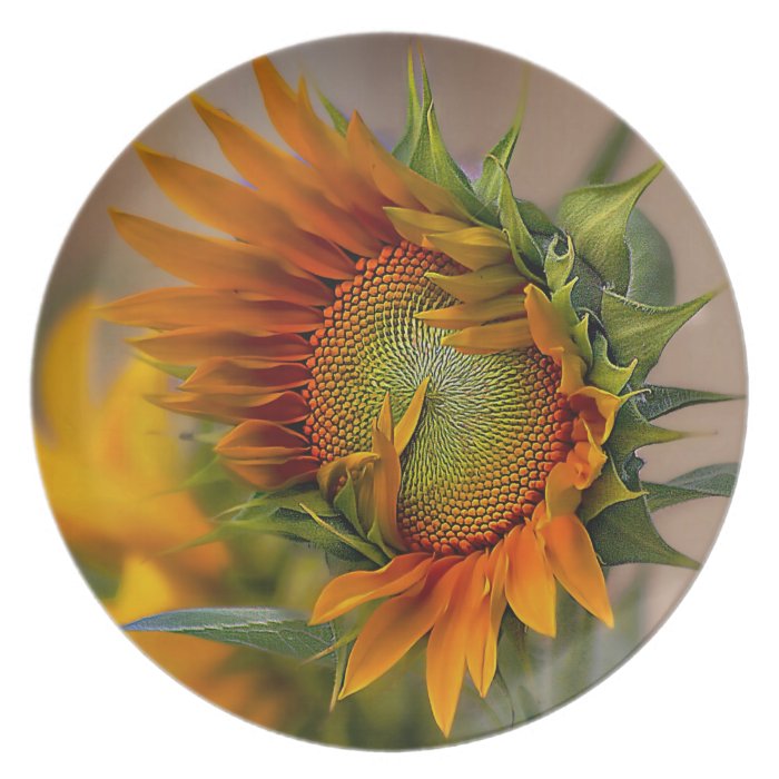 beautiful sunflower plate