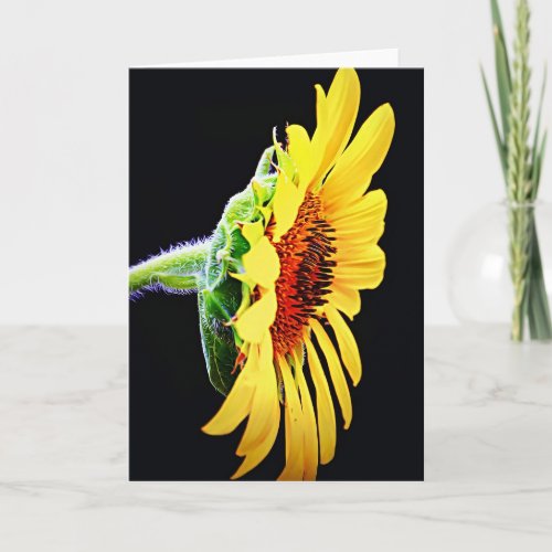 Beautiful Sunflower Profile Shining Flower Card