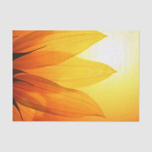 Beautiful Sunflower - Tissue Paper (Front)
