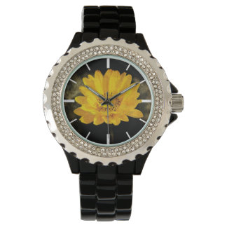 Beautiful Sunflower with Dark Brown Background Watch