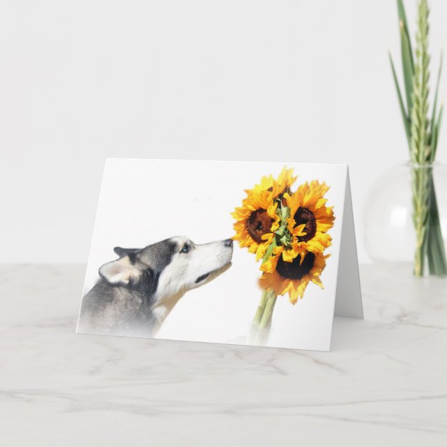 Beautiful Sunflowers and Husky Thank You Card (Front)