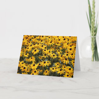 Beautiful Sunflowers, Lots and Lots of Black Eyed Thank You Card