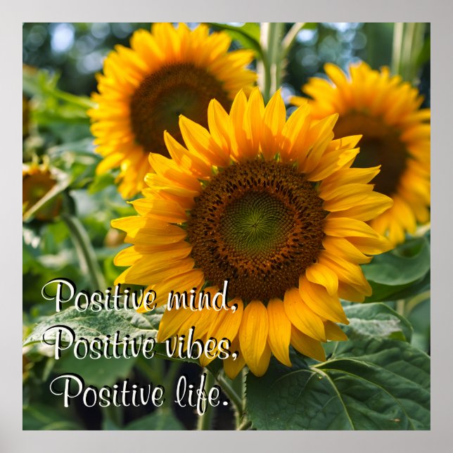 Beautiful Sunflowers under the Sun Personalized Poster (Front)