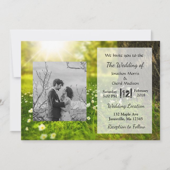 Beautiful Sunlit Field Photo Wedding Invitations (Front)