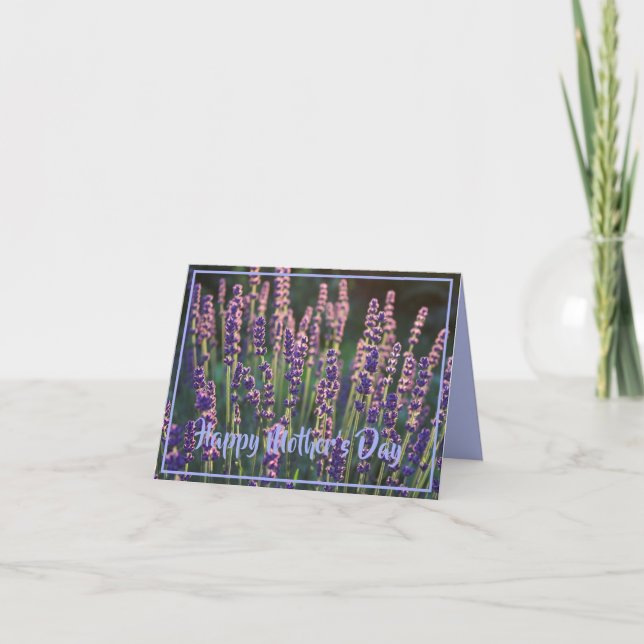 Beautiful Sunlit Lavender Flowers Mother's Day Card (Front)
