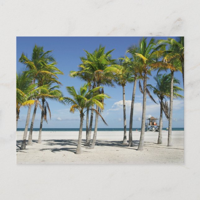 Beautiful Sunny Beach in Afternoon Postcard (Front)
