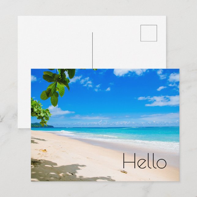 Beautiful Sunny Tropical Beach Photo Hello Postcard (Front/Back)