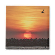 Beautiful Sunset Colors - Marina Del Rey, CA