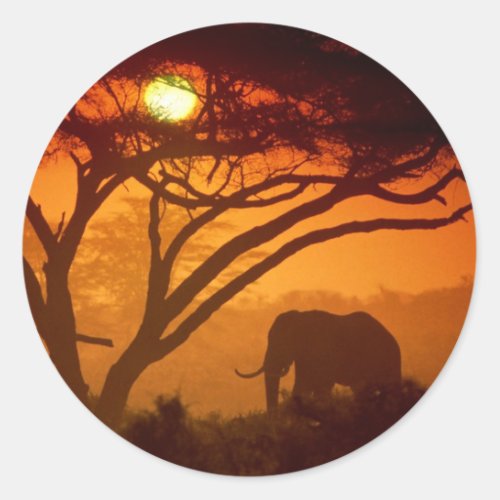 Beautiful Sunset Elephant Classic Round Sticker
