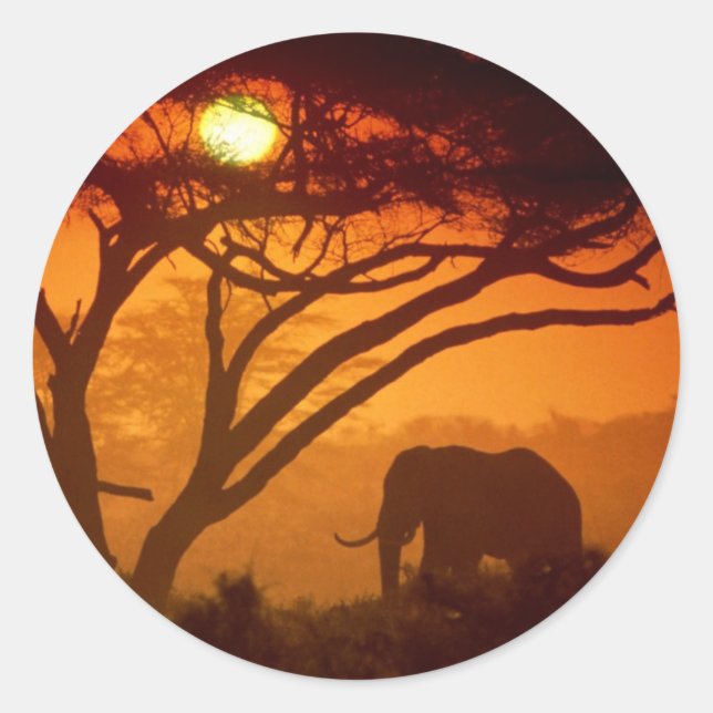 Beautiful Sunset Elephant Classic Round Sticker (Front)