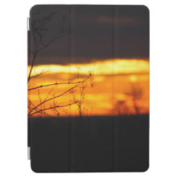 Beautiful sunset iPad air cover