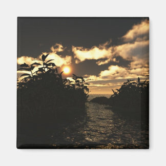 Beautiful Sunset Magnet