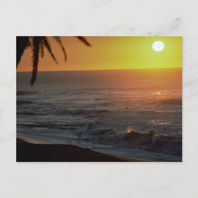 Beautiful Sunset: North Shore, Oahu, Hawaii Postcard (Front)