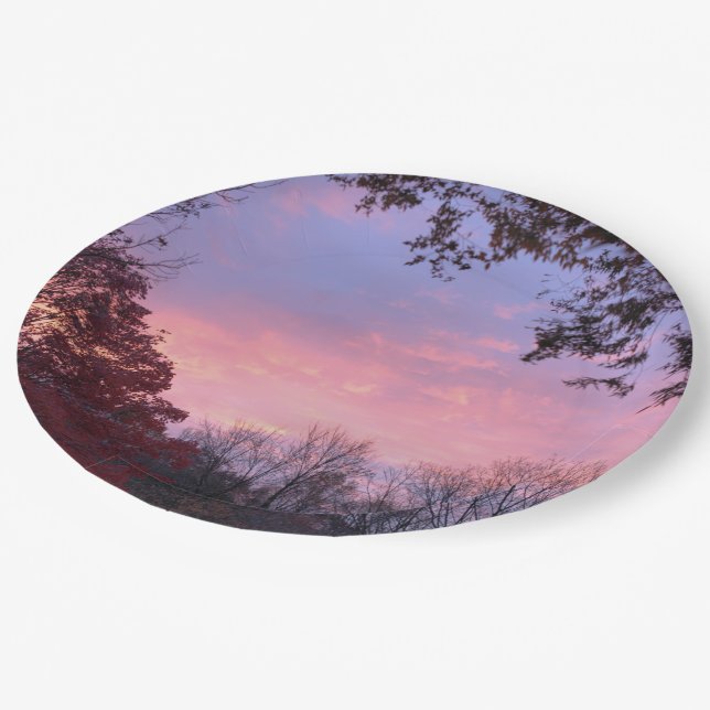Beautiful Sunset Over Trees  Paper Plates (Angled)