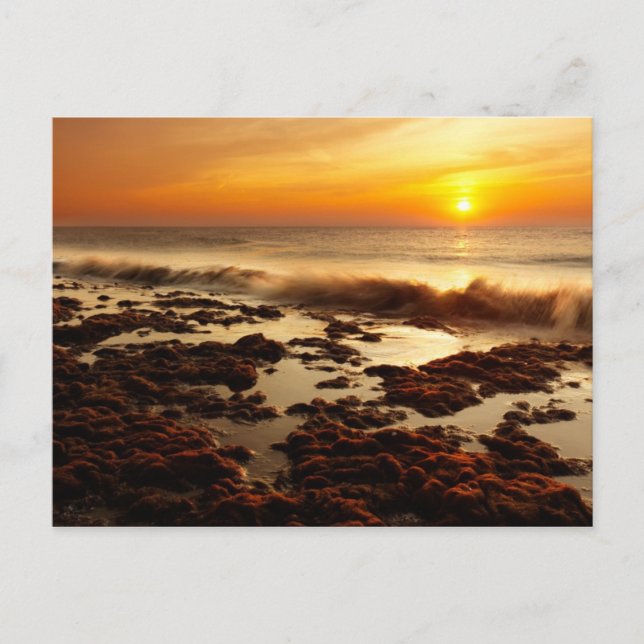 Beautiful sunset postcard (Front)