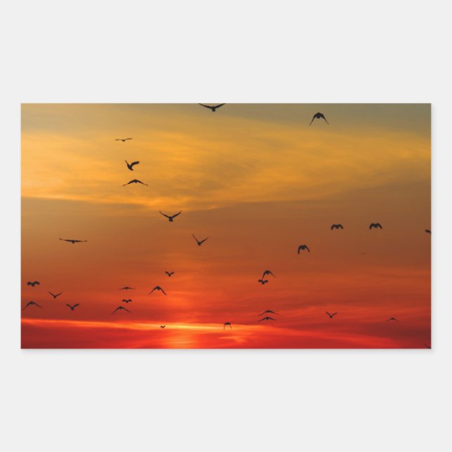 Beautiful Sunset Scenic Landscape Photographic Art Rectangular Sticker (Front)