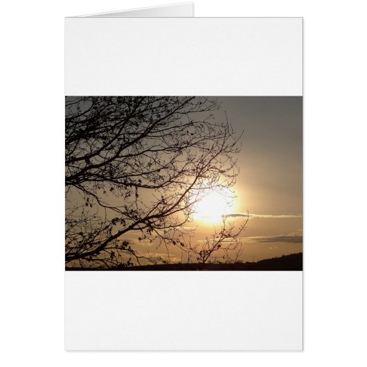 Beautiful sunset with branchs cards (Front)