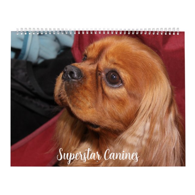 BEAUTIFUL SUPERSTAR CANINE DOGS CALENDAR (Cover)