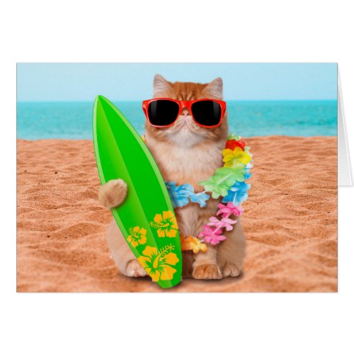 Beautiful surfer cat on the beach