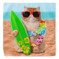 Beautiful surfer cat on the beach