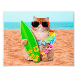 Beautiful surfer cat on the beach photo print