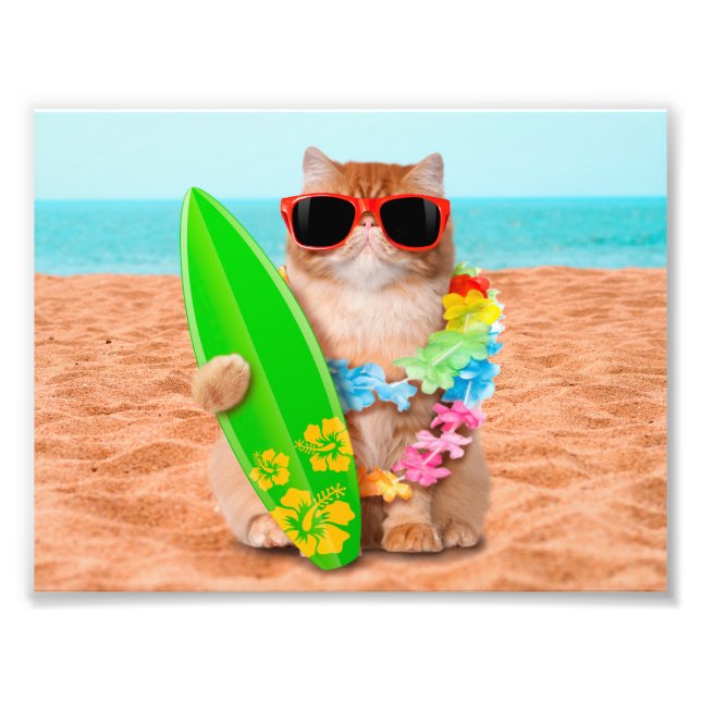 Beautiful surfer cat on the beach photo print (Front)