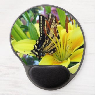 Beautiful Swallowtail Butterfly