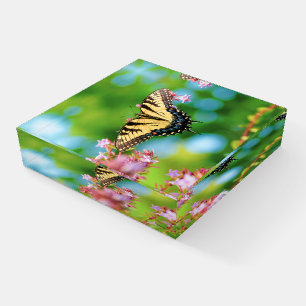 Beautiful Swallowtail butterfly on pretty flowers Paperweight