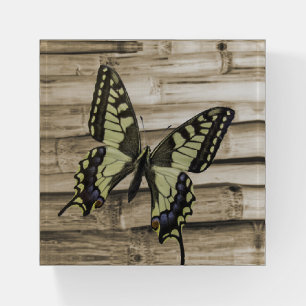 Beautiful Swallowtail Butterfly Photo Paperweight