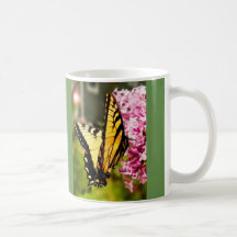Beautiful swallowtail butterfly w/green background