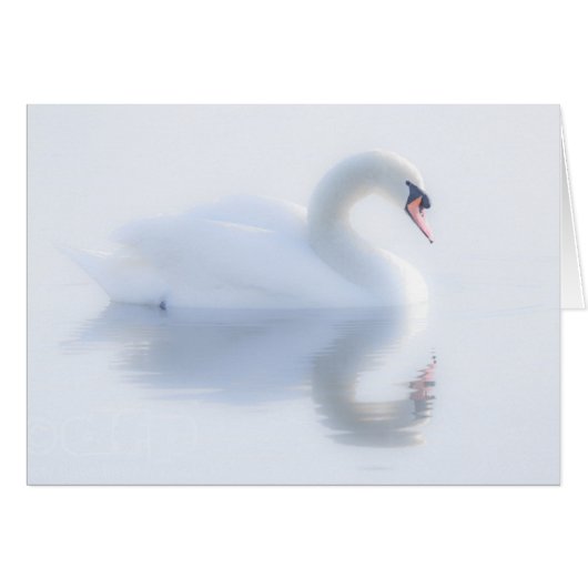 Beautiful Swan Card (Front Horizontal)