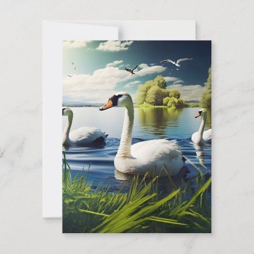 Beautiful Swan Colorfull Background Holiday Card