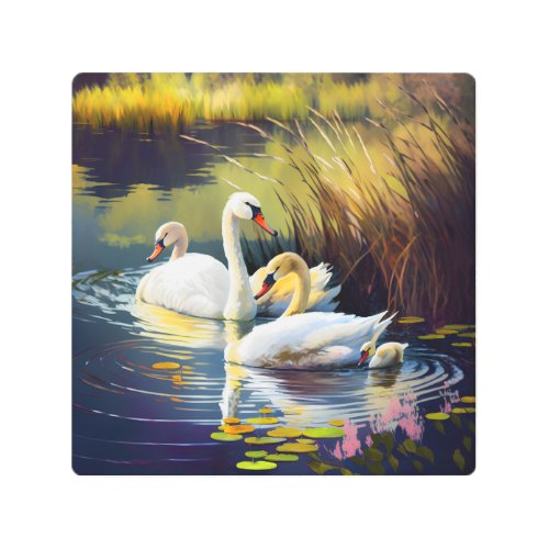 Beautiful Swan Colorfull Background Metal Print