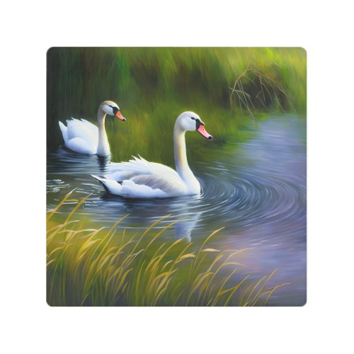 Beautiful Swan Colorfull Background Metal Print