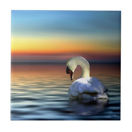 Beautiful Swan Sunset Art Tile