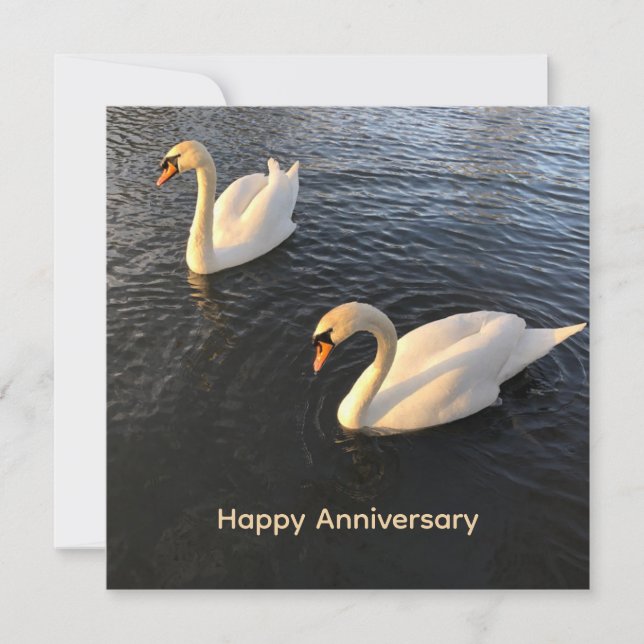 Beautiful swans Anniversary Holiday Card (Front)
