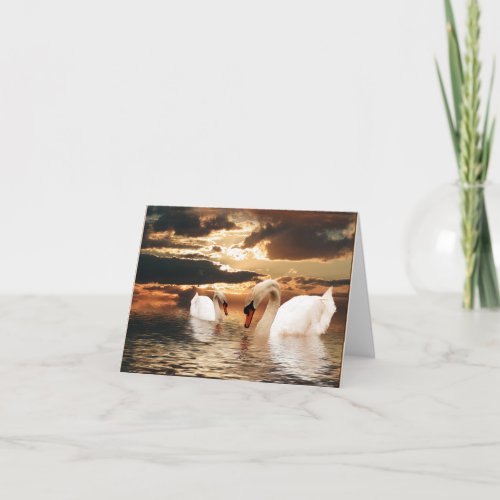 Beautiful Swans Note Card