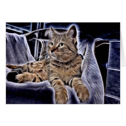 Beautiful Tabby Card