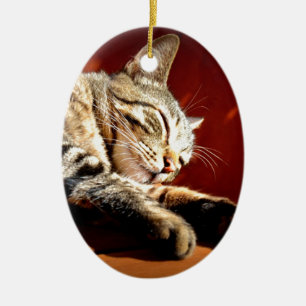 Beautiful tabby cat ceramic ornament