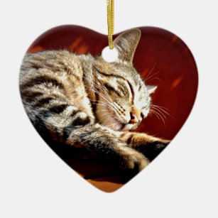 Beautiful tabby cat ceramic ornament