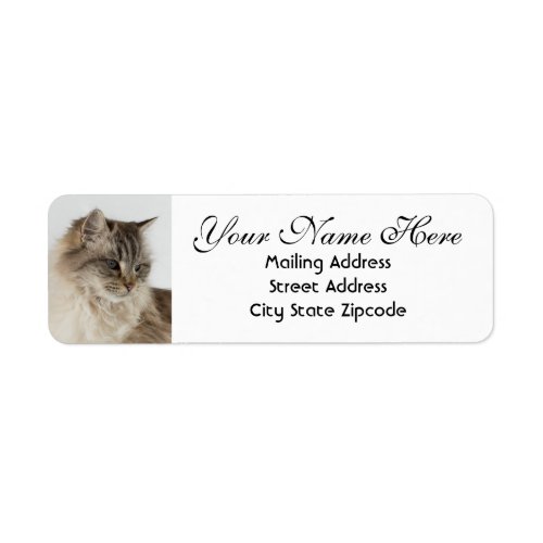 Beautiful Tabby Cat Return Address Label