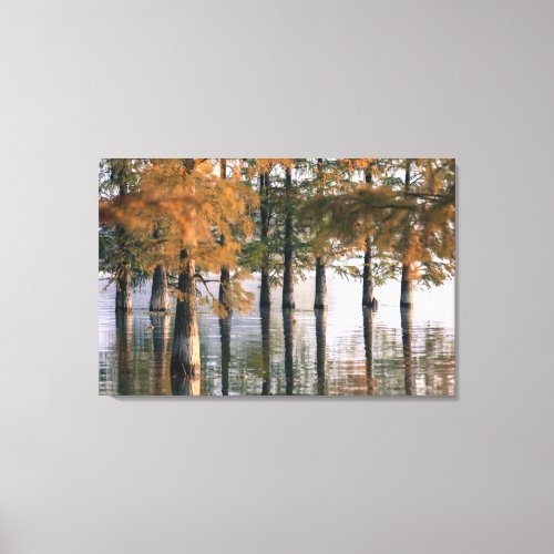 Beautiful Tall Trees in the River with Reflection Canvas Print
